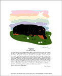 Rainbow Bridge Black/Tan by Adrianne Curley